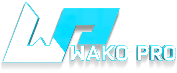 World Association of Kickboxing Organizations